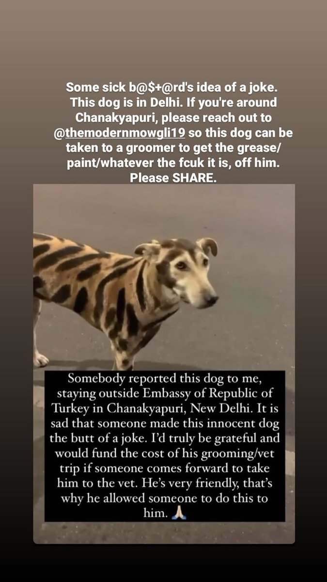 #delhi 
Themodernmowgli19 has put this up on IG. Someone has painted the dog with either grease or paint. She needs volunteers to get hold of the dog. Dog is seen around Chanakyapuri, Delhi. 

Please share.