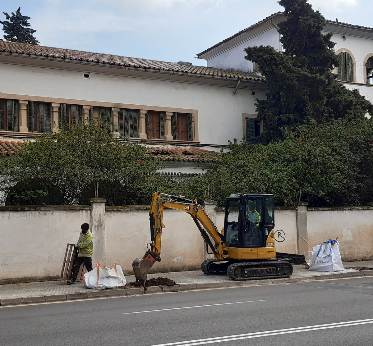 👷‍♀️ Seguim amb les plantacions d'arbrat viari en una primera fase d'enguany.

🌳 Els barris de Cas Capiscol, Camp Redó i Bons Aires comptem amb més de 40 arbres nous.

➡️ Plantacions de:

🌱 Lledoners
🌱 Xicarandanes
🌱 Ginkgos 
🌱 Platans

#objectiu10mil
#palmaverda