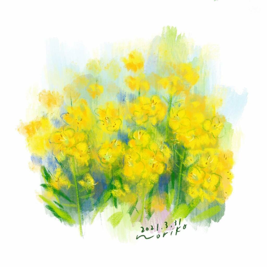 noriko_v's tweet photo. .
Turnip rape
#菜の花 #ナノハナ
#flowers #花
#turniprape #nanohana
.
.
#akane_art #イラスト #illustration #20210331 #drawing #art #painting #procreate #一日一絵 #onesktchaday #onedrawingaday #365drawings https://t.co/9rrLfItnE4 https://t.co/fFJB5dPDgL