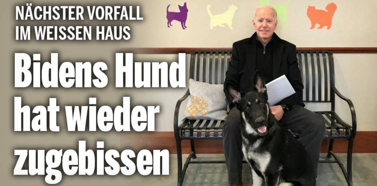 Wer diese Überschrift nicht automatisch im Werner Hansch-Style liest, hat @FussballMML nie geliebt. 🎙️⚽️

<a href="/MickyBeisenherz/">Micky Beisenherz 🍌</a>