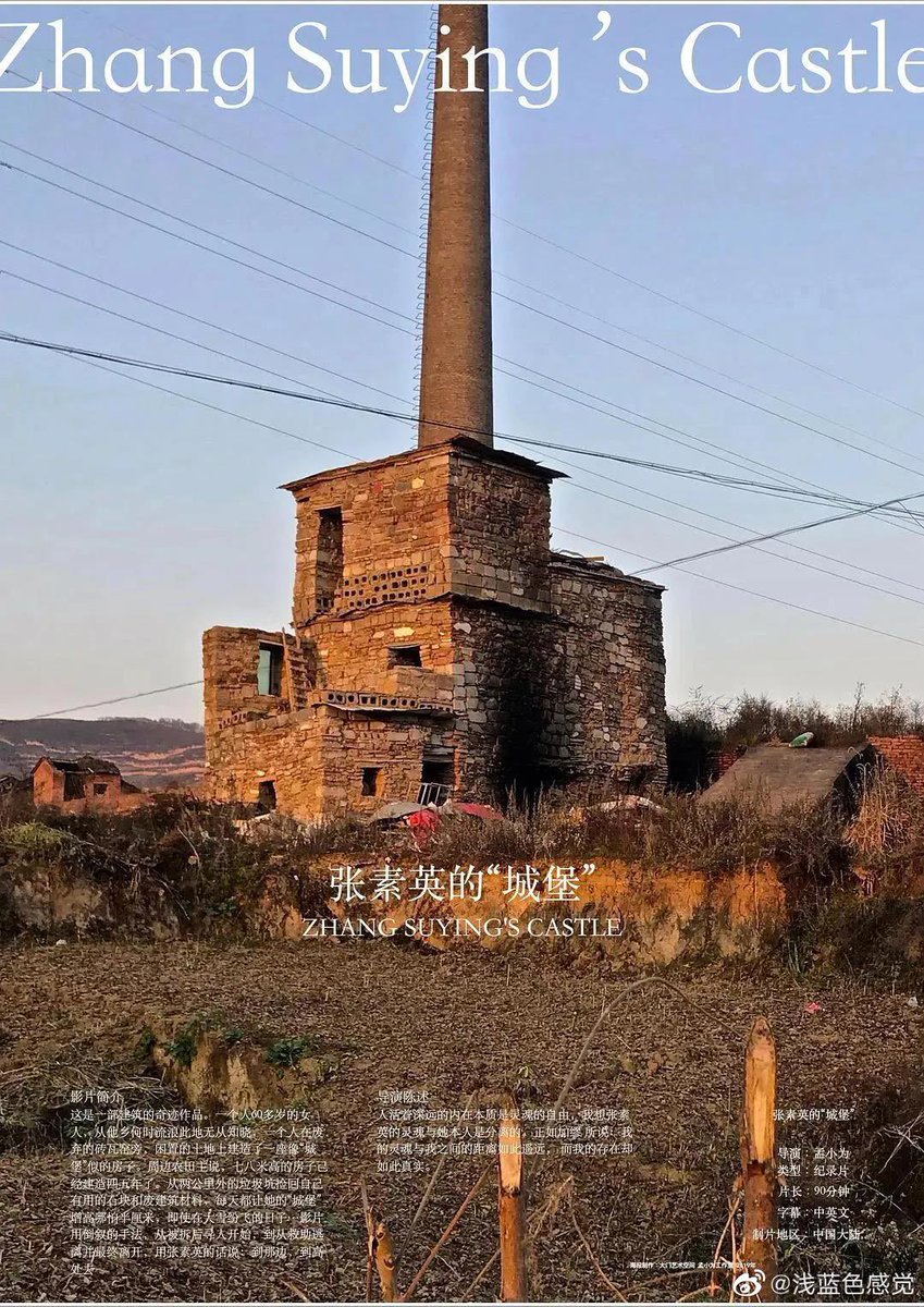 莫折柳 tweet media