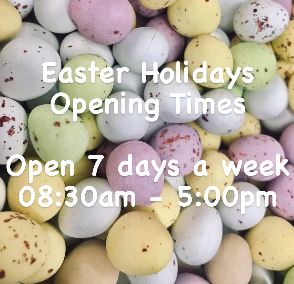 🐣🐰 Easter Holidays Opening Times 🐰🐣
We are open 7 days a week
Cafe open 08:30-17:00
Shipwreck Cabin 10:30-16:30 (weather dependant)
Pinecone Point Kiosk 11:00-15:30 (weather dependant)
<a href="/BedgeburyP/">Bedgebury Pinetum - Forestry England</a> <a href="/ForestryEngland/">Forestry England</a> <a href="/ForestryComm/">Forestry Commission</a>