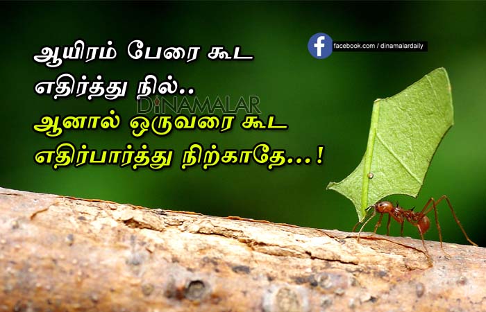 Таскают листочки. Жук листорез. Муравьи листорезы южной америки. Муравей несет травинку. Муравей трудяга.