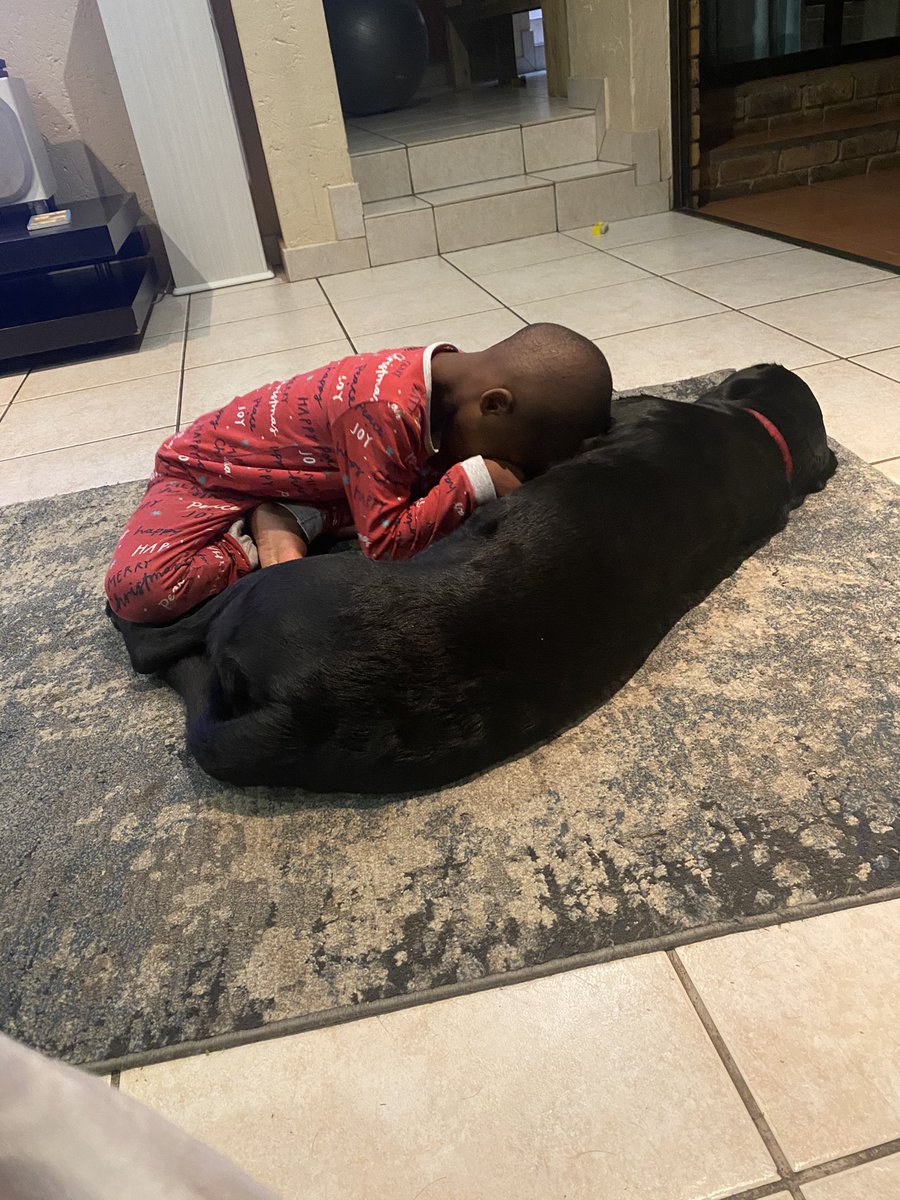 balwa1's tweet photo. Bonding time 🥰🥰
#autism
#autismsupportdog https://t.co/4XhrUkq6c5