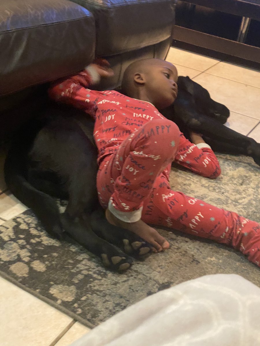 balwa1's tweet photo. Bonding time 🥰🥰
#autism
#autismsupportdog https://t.co/4XhrUkq6c5