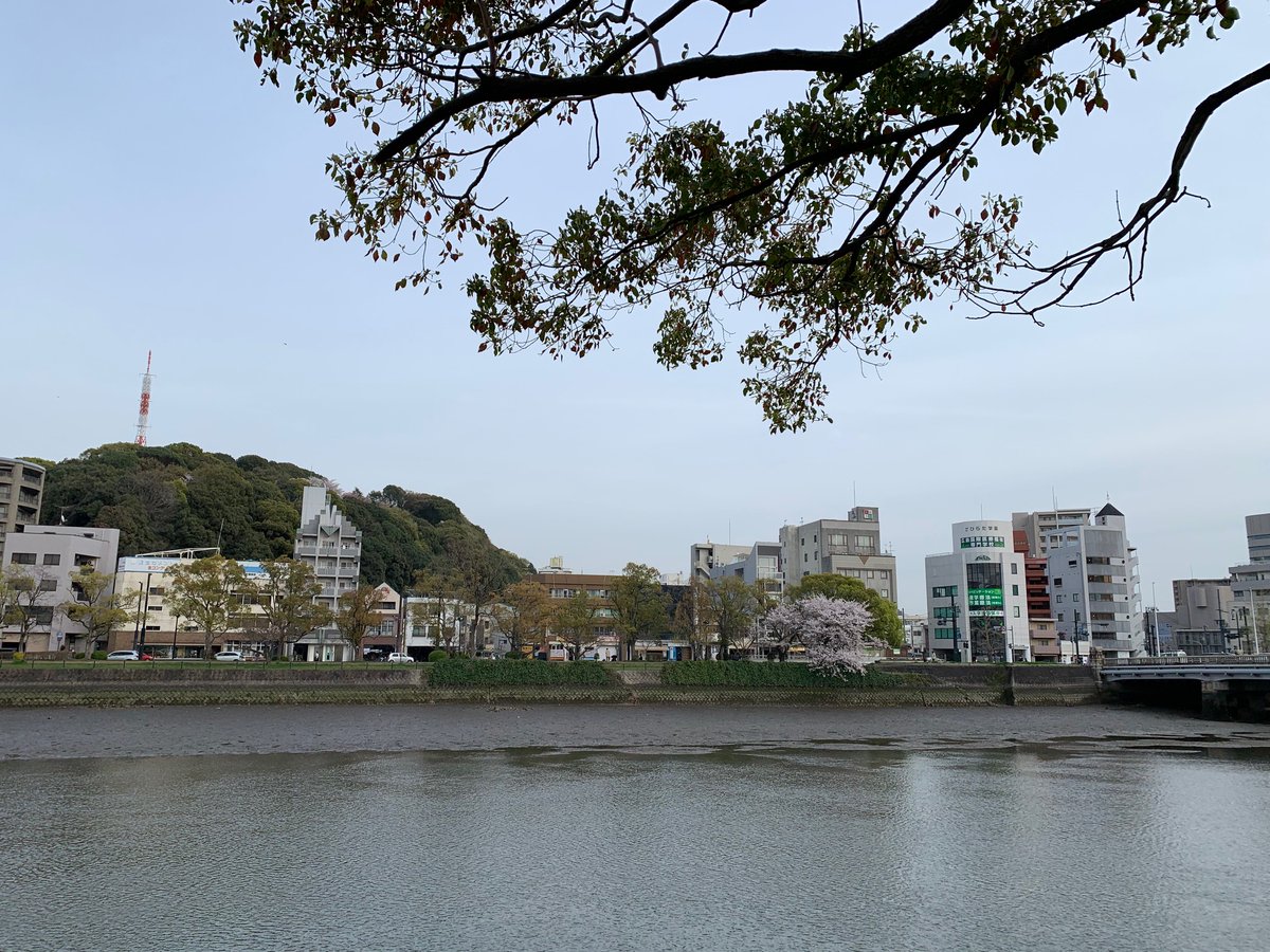 広島国際医療福祉専門学校 旧校名 Iwad環境福祉リハビリ専門学校 On Twitter 当校の周辺には自然が溢れとても良い環境に恵まれています 京橋川に沿って晴れた日のお散歩は最高です 新学期 入学式 桜 自然 学校へ行こう 比治山 広島 広島市 学生 通学