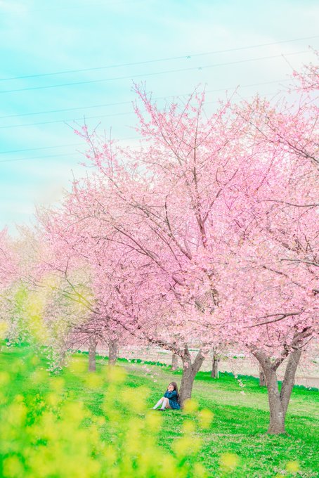 Twitterのコスプレ画像7