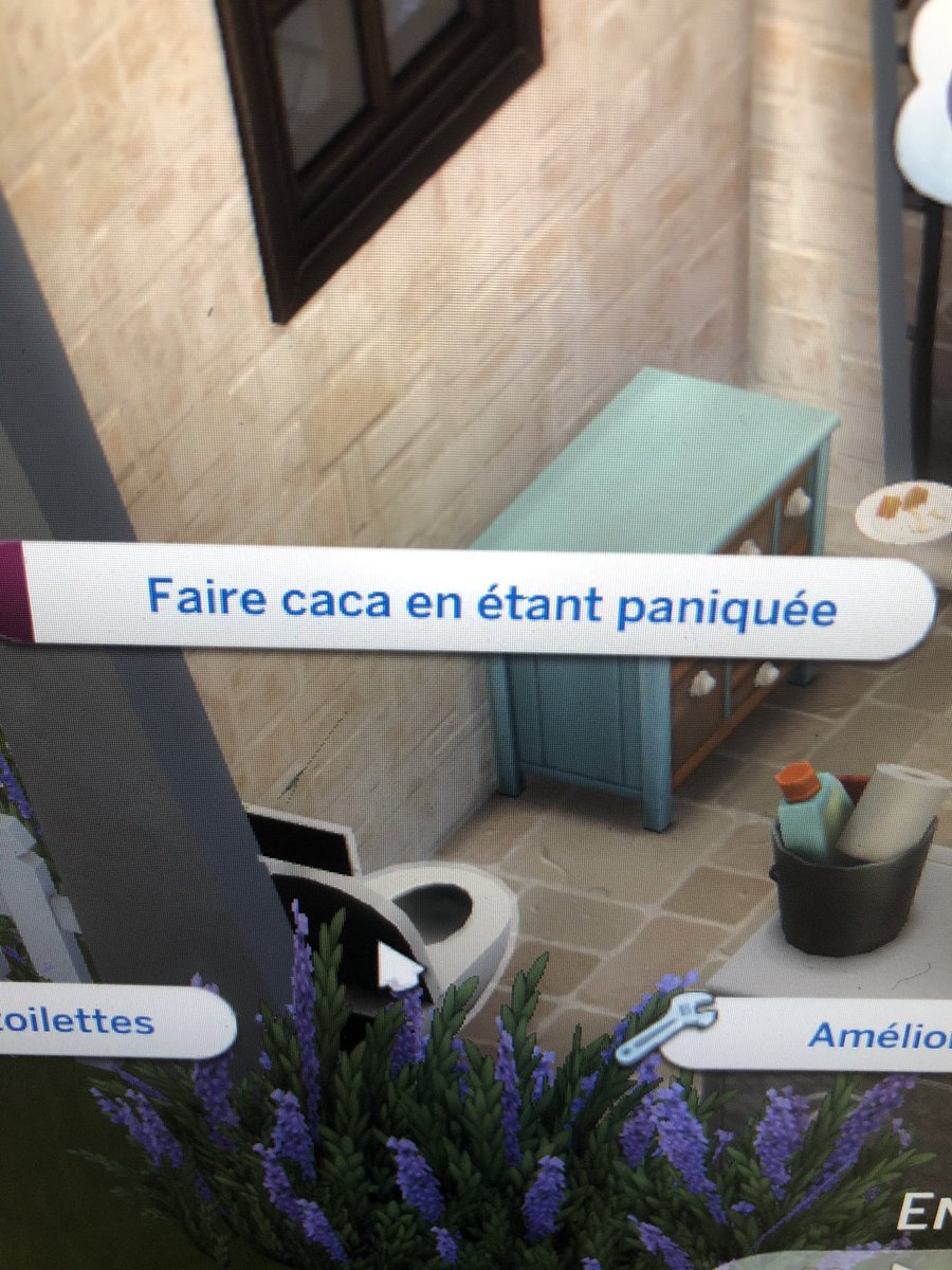rachou_pinette tweet picture