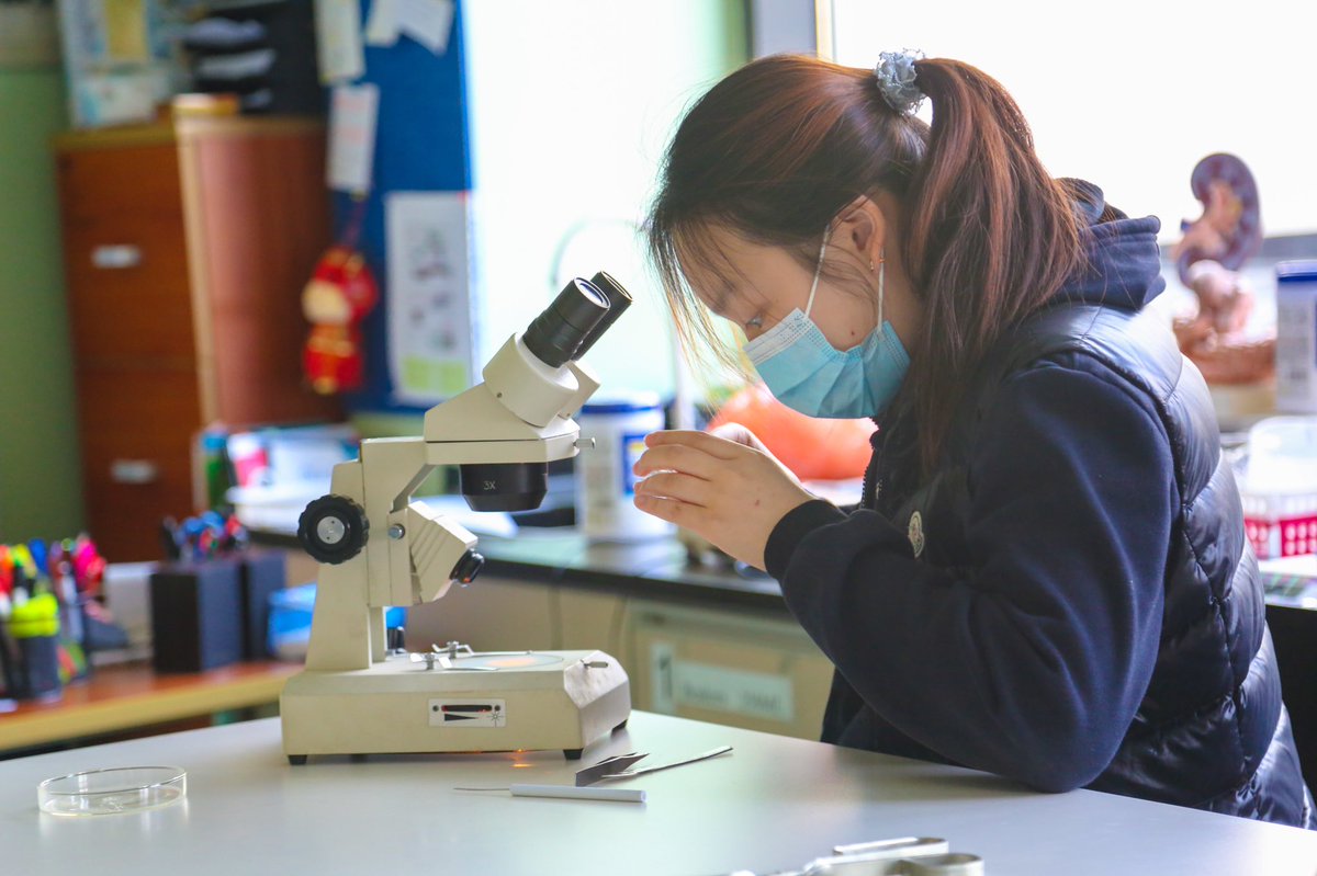 WISSshanghai's tweet photo. Have you ever looked at a #flower in more detail? WISS DP students don't miss any details, even the smallest ones!. During their last #biology class, WISS DP students learned how the biotic and abiotic environments influence reproduction in #flowering plants. #WISSshanghai https://t.co/dRjU00n3b2