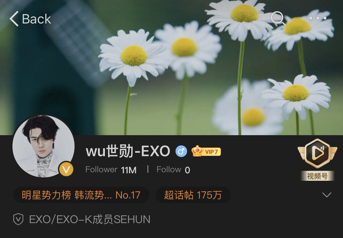 pukjin's tweet photo. ✨สถิติต่างๆของ #SEHUN ใน SNS✨

📸 Instagram : ผู้ติดตาม 21.4ล้าน
🐥Weibo : ผู้ติดตาม 11ล้าน

💕Hashtag ใน Weibo : ผู้ติดตาม 3.025ล้าน
💕ยอดเข้าดู Hashtag ใน Weibo : 84.6พันล้าน
💕ยอดโพสใน Hashtag : 1.753ล้าน

 **ทั้ง 3 ยอดคือยอดที่มากที่สุดในบรรดาศิลปินเกาหลีทั้งหมด https://t.co/rDiMmUCZDl