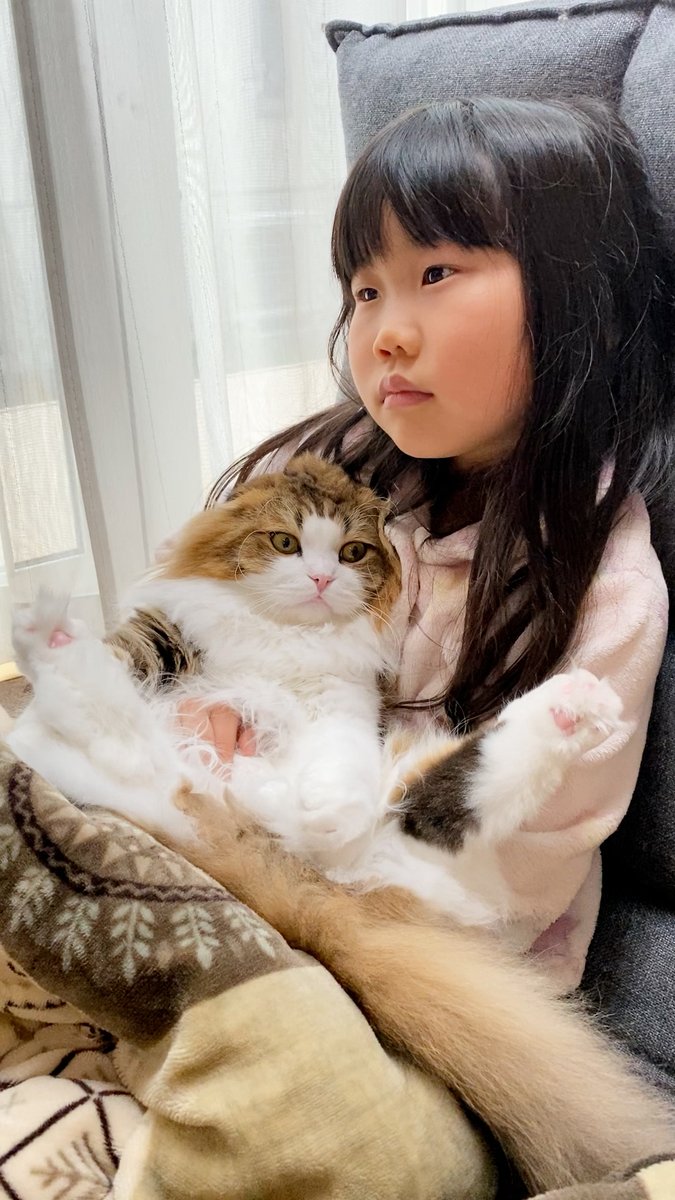 あすママ あっちゃんファミリー 急ですが告知です 明日 4月1日 Tbs 笑える 泣ける 動物スクープ100連発 で ふわふわこっちゃんねるの動画が少しだけ使われるそうです 番組は夜7時から3時間です お時間のある方はテレビ画面のこっちゃんを見て あすママ あっちゃんファミリー 急ですが告知です 明日 4月1日 Tbs 笑える 泣ける 動物スクープ100連発 で ふわふわこっちゃんねるの動画が少しだけ使われるそうです 番組は夜7時から3時間です お時間のある方はテレビ画面のこっちゃんを見て