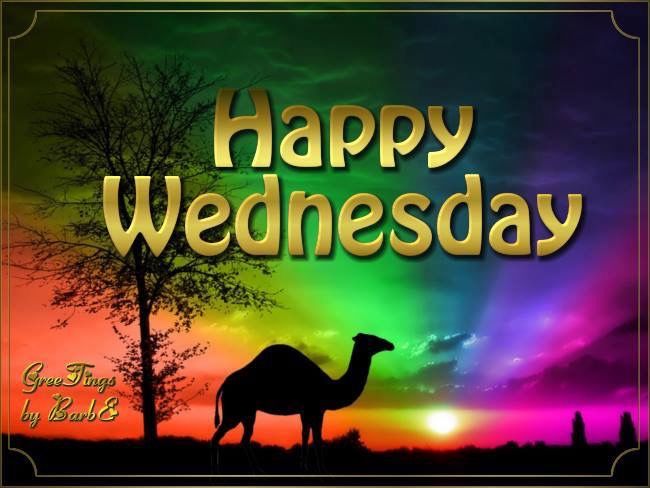donnywalker94's tweet image. Good to all on planet earth and yes it's Wednesday the last day of March rise , shine ,smile above all give thanks. #gratitude  @military_crime @Neveraloneadvo1 @ShontaBlock @AdamDeRito @DmbFor @BFlyLadyDi @bjwinnerdavis @BearsGrl65