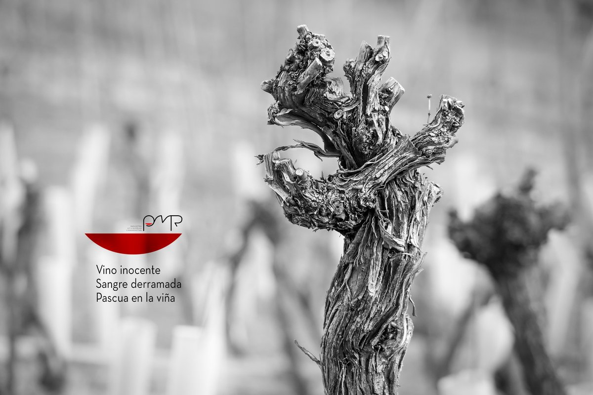 Vino inocente
Sangre derramada
Pascua en la viña