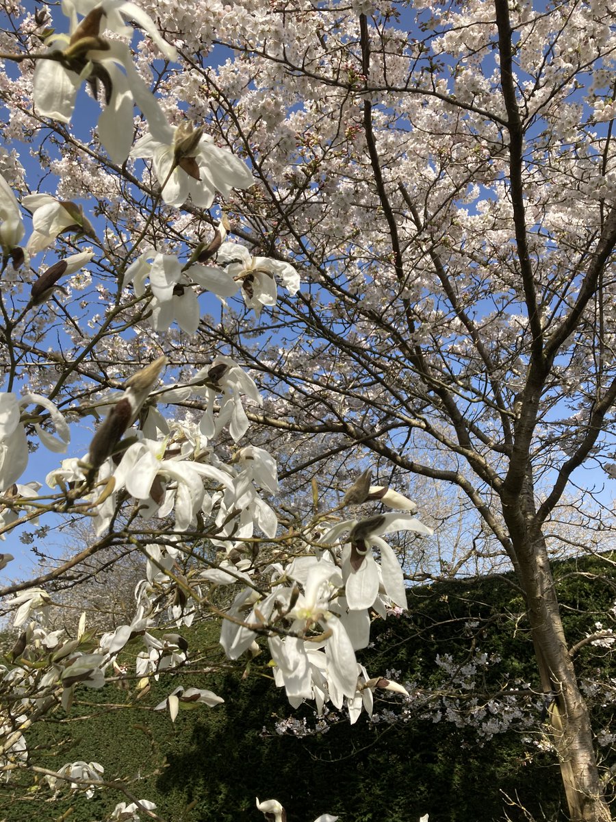 Fiona Blakemore tweet media