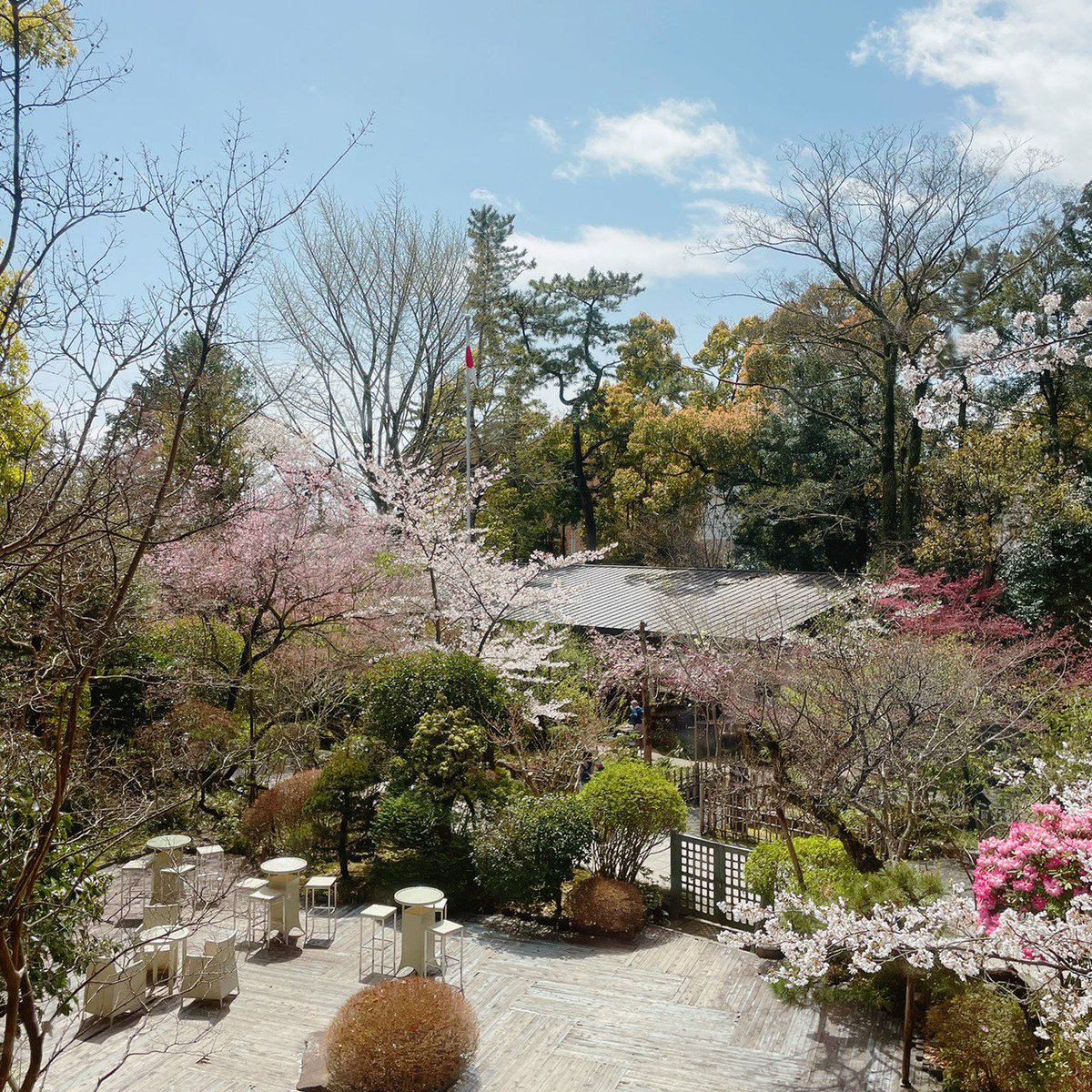 1z2t3h's tweet photo. 小田原にある報徳会館にて弦楽四重奏してきました🌱🌸とても素敵な空間!癒されました。
#報徳会館 出張演奏ならムジカル!@musicaljp #musicalu #ムジカル #livedeli #ライブデリ #出張演奏 https://t.co/OPWXWa9xXg