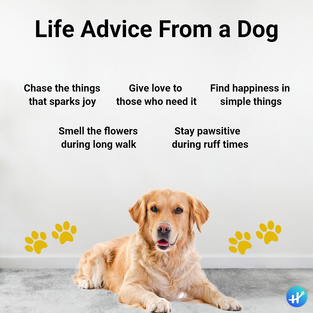 haptofit's tweet photo. https://t.co/KScxVuOUy1