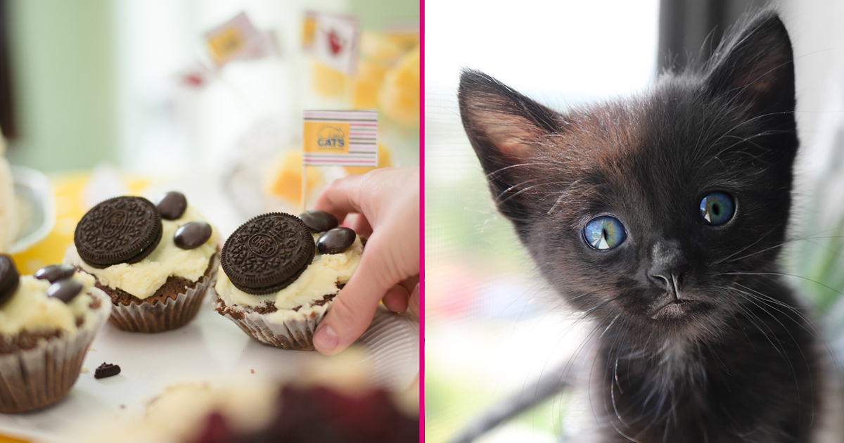 Bake a difference this April! 😻 Enter your best bake into the Pawsome Baking Challenge and know that by taking part you’ll be helping the cats and kittens in our care. Register now: pawsometea.org ​
#catsprotection