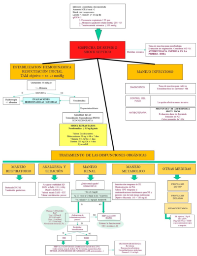 AnestesiaR's tweet photo. Insuficiencia Renal Aguda en el paciente séptico. Parte II. Estrategias de prevención y tratamiento. https://t.co/ZO1Dsocdit https://t.co/PfoqFZwpUl