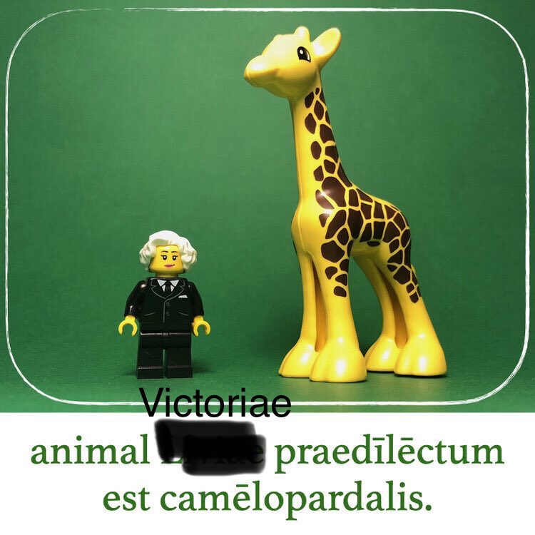 With thanks to <a href="/tutubuslatinus/">Legonium</a> and inspired by <a href="/gregjames/">Greg James</a> Animal News with <a href="/VickNHope/">Vick Hope</a>