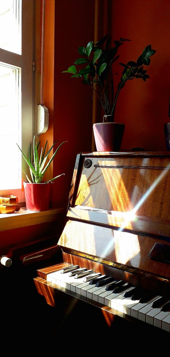 NellyMonk1's tweet image. Piano sunrays moment 💜☀️

#musiciansofinstagram #pianotime #mymusictaste #musictime🎶 #songwriter #sunnydays #sunray