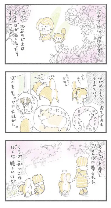 巻尾の中に入って運ばれたいひといますか…?|ω・)_ソッ 