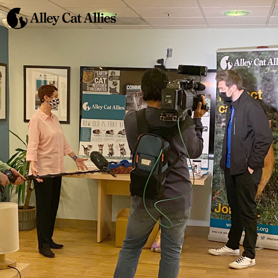 alleycatallies's tweet photo. Here’s a ✨sneak peek✨ behind the scenes with @feralbecky and @KevinMcCarthyTV during @fox5dc’s Field Trip to our office this morning !🐈 #Fox5DC #Fox5Morning #GoodDayDC https://t.co/g97hx9AUrt