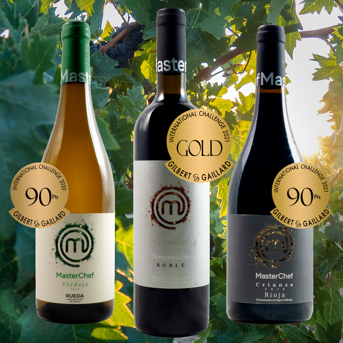 masterchefvinos's tweet photo. No puedes dejar de probar estos grandes vinos🍷 Disponibles en nuestra tienda online 🛒
https://t.co/LKAwtrujnF
Salud ❣🍷
#vinosmasterchef #premios
#seleccionmasterchef https://t.co/5QFrLNzihX