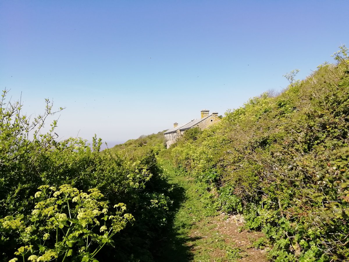 View of the barracks on Steep Holm © Thursa Lamoon