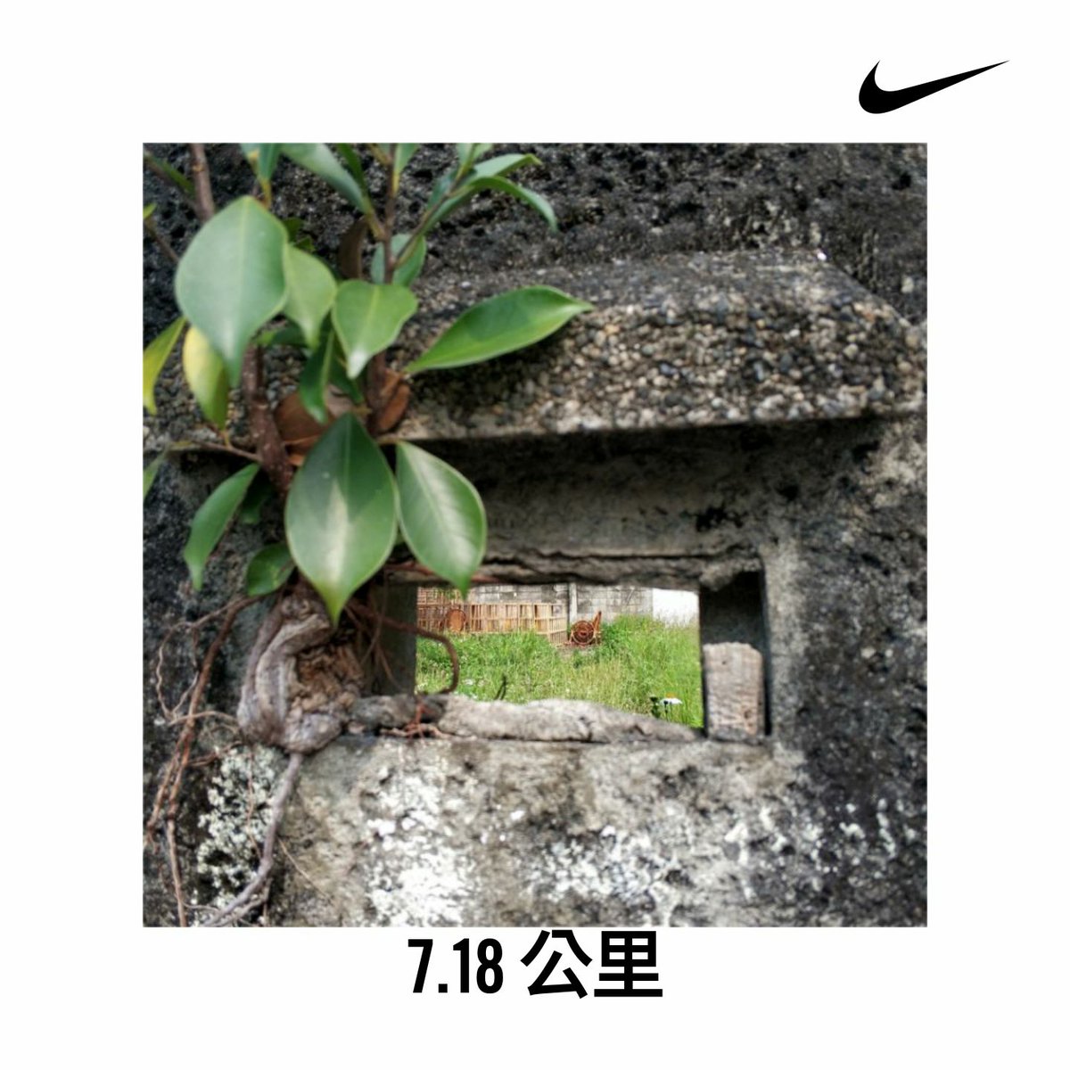 EstherC75804518's tweet image. 