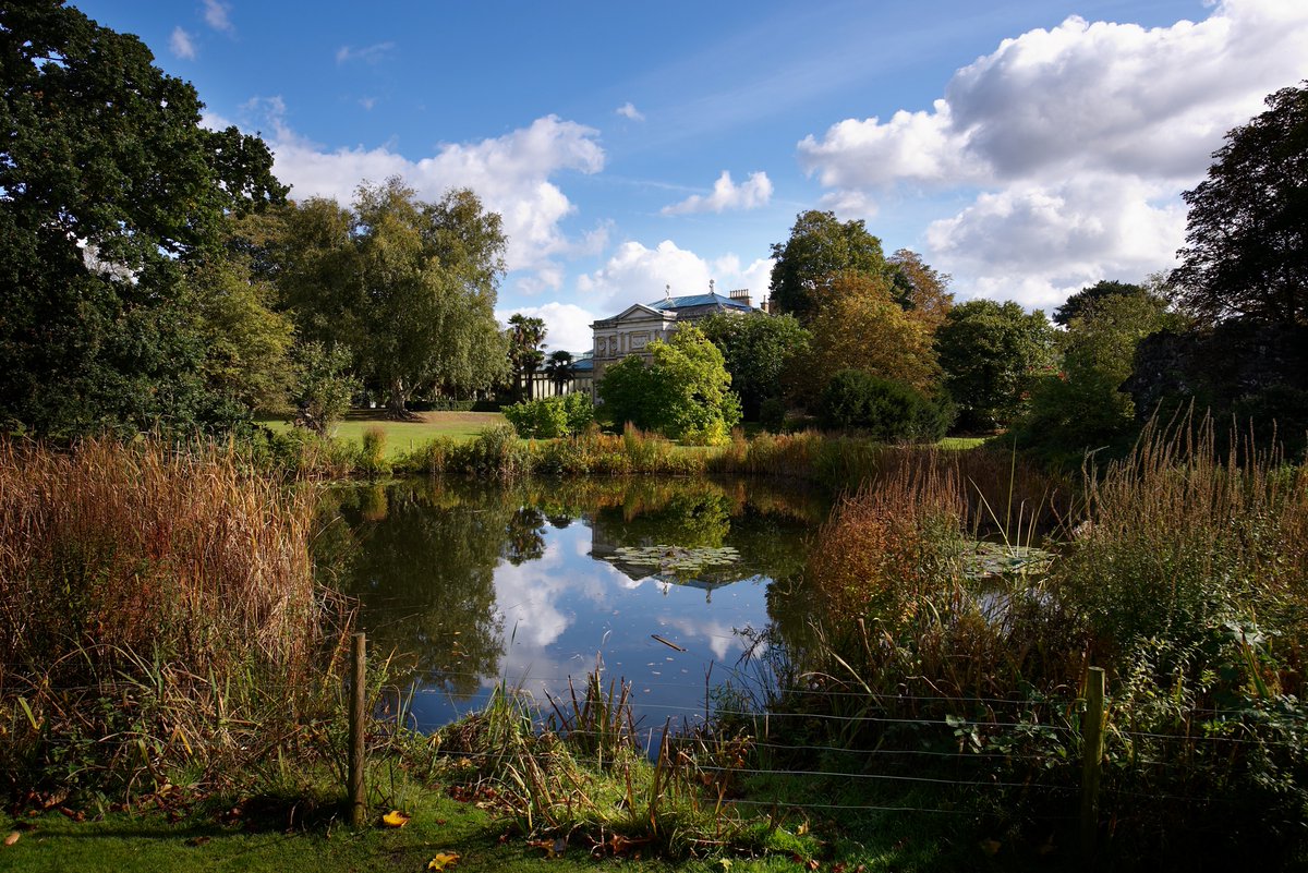 Hampton Court House tweet media