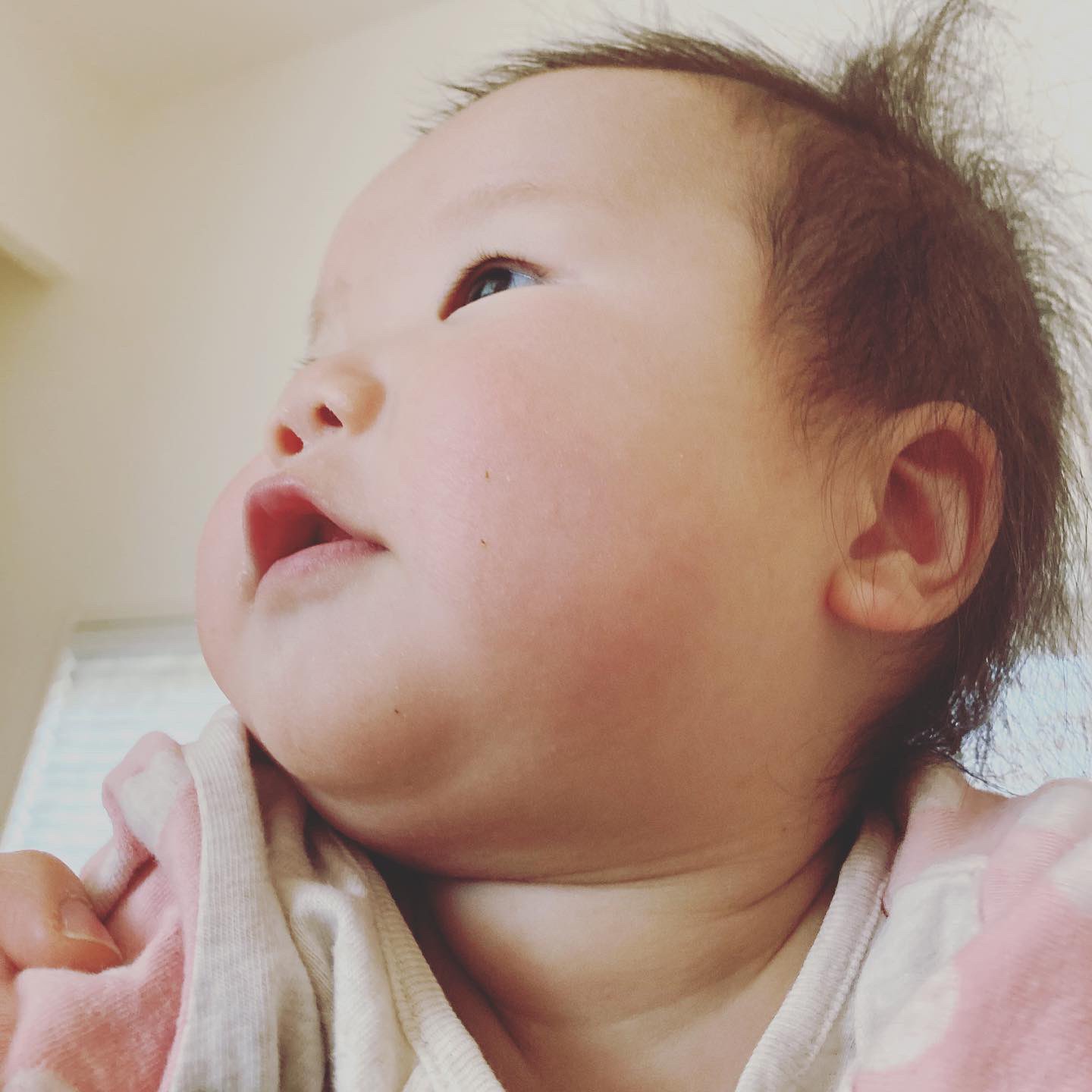 しおえり 50人限定ゆるかわアイコン 赤ちゃんの萌えポイントってありますか 私は 下から見た時のほっぺ がたまりません 毎日すりすりハムハムうざいくらい溺愛してます 赤ちゃんのほっぺ 赤ちゃんとの暮らし 8か月ベビー 柔らかすぎる