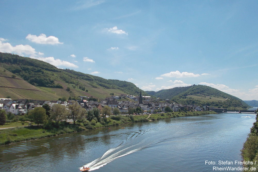 RheinWanderer's tweet photo. #Wandern an der #Mosel: Diese schöne #Wanderung (9 km) führt auf dem #Moselsteig von #Ediger-#Eller über den #Calmont an der #Moselschleife und #Bremm nach #Neef (Foto). Mein #Tipp: Schaut euch Bremm und Neef an! Mehr Fotos + Infos hier: https://t.co/tNDiTvLk2l #RLPerleben https://t.co/kQi4ZZPslQ