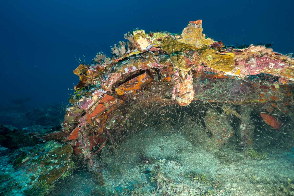 ProjRecover's tweet photo. Looking inside the fuselage of a B-24 MIA crash site disguised by nature’s beauty.
#KeepingAmericasPromise #diving #scubadiving #ocean #underwater #scuba #underwaterphotography #solomon #divingphoto #sciencediving #WWII@dodpaa @airandspace #AirForceHeritageFlightFoundation https://t.co/JYkV0oJNst