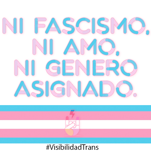 31 Marzo 2021 #VisibilidadTrans