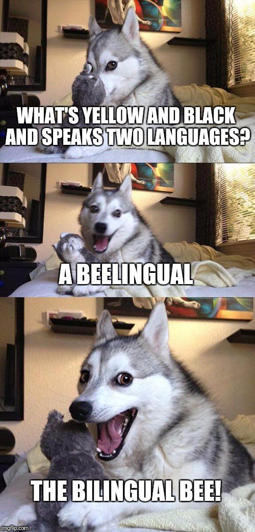 AManoukas's tweet image. You too bee 🐝 lingual too! #LanguageLearningApps #5107G @PowerLrn @Troglody2021 @AmareenBrar