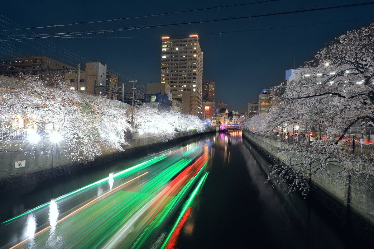 perry0103's tweet photo. 去年は行けなかった夜桜を、仕事帰りに少しだけ。
機材/Canon EOS R
レンズ/EF17-40 F4
#EOSR
#大岡川
#横浜夜景
#黄金橋
#夜桜
#夜景
#写真好きな人と繫がりたい https://t.co/TmOSsxFjuY