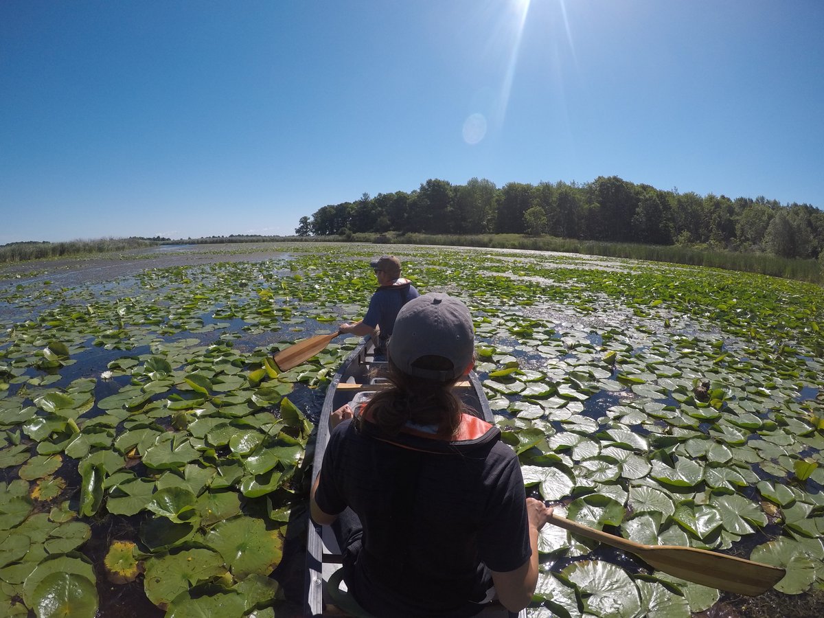 Mike Brasher, PhD 🦆 tweet media