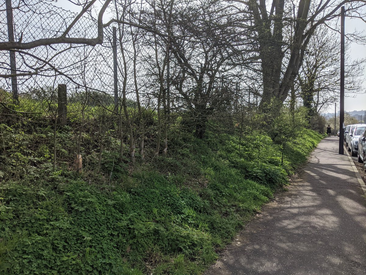 RefillNorwich tweet media