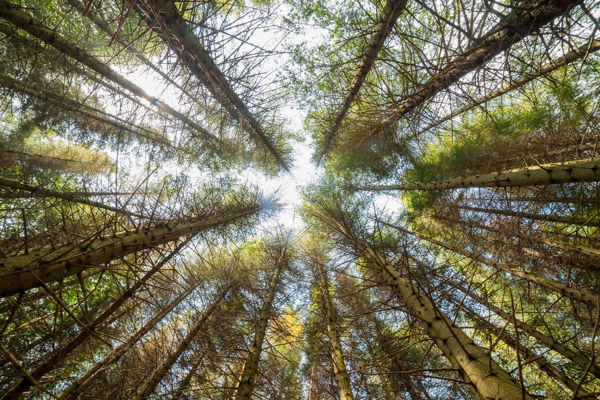 susbind's tweet photo. On 29th April, #susbind partner @ErikvanHerwijnen @WoodKPlus will present “The Way to #Renewable #Adhesives” within 2021 Congress “#Bonding Wood and #Wood-Based Materials”.
More details👉 https://t.co/uyy2ab29KK
@BBI2020 @EU_H2020 https://t.co/O5u53HBMPW