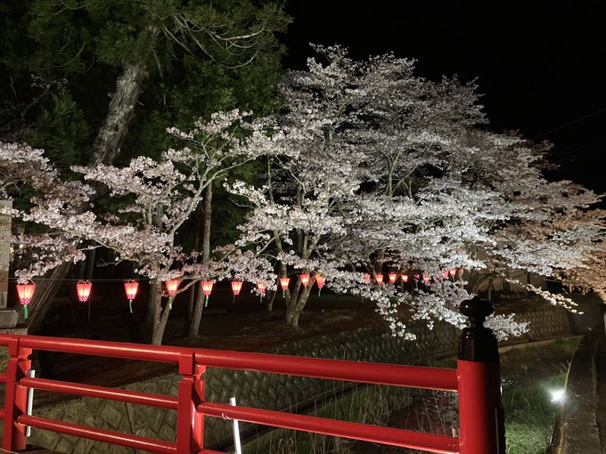 夜桜 高画質 のtwitterイラスト検索結果 古い順 夜桜 高画質 のtwitterイラスト検索結果 古い順