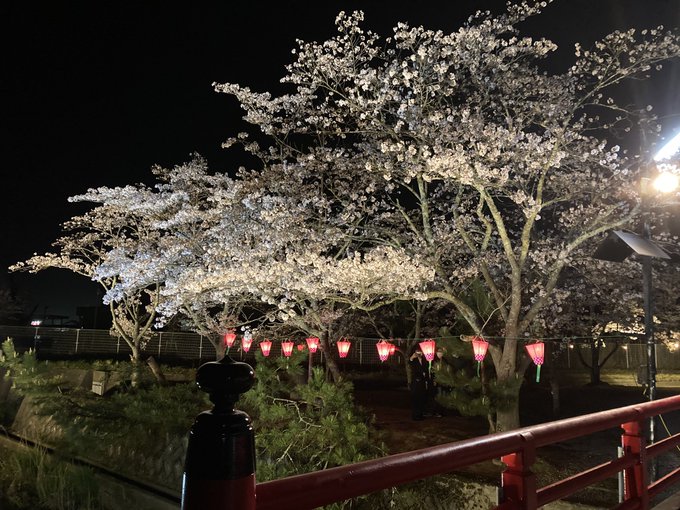 夜桜 高画質 のtwitterイラスト検索結果 古い順 夜桜 高画質 のtwitterイラスト検索結果 古い順