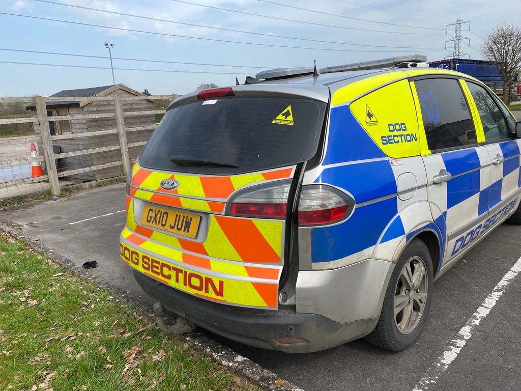 VistarSec's tweet image. Day or night, come rain or shine!
We are out protecting our clients properties. 
#Security #Protection #MobilePatrol #DogHandler