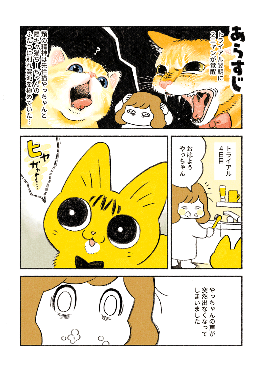 やっちゃんの異変 