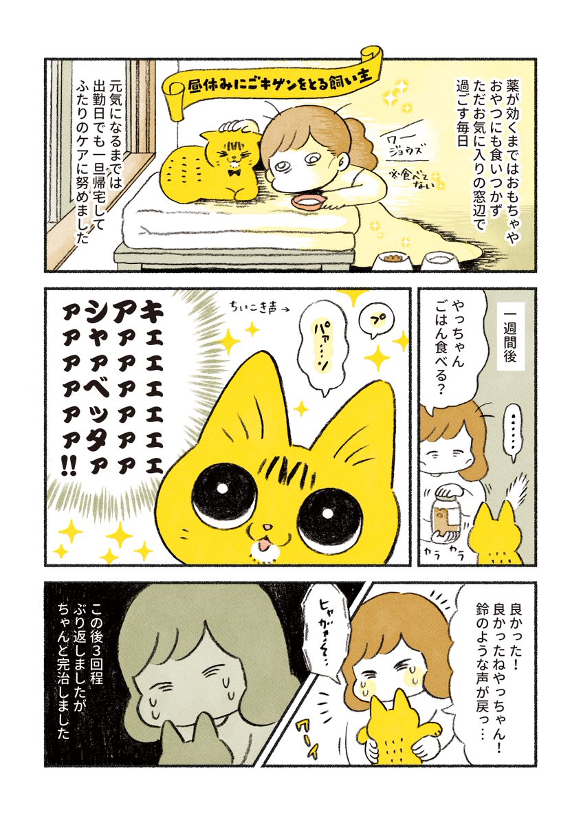 やっちゃんの異変 