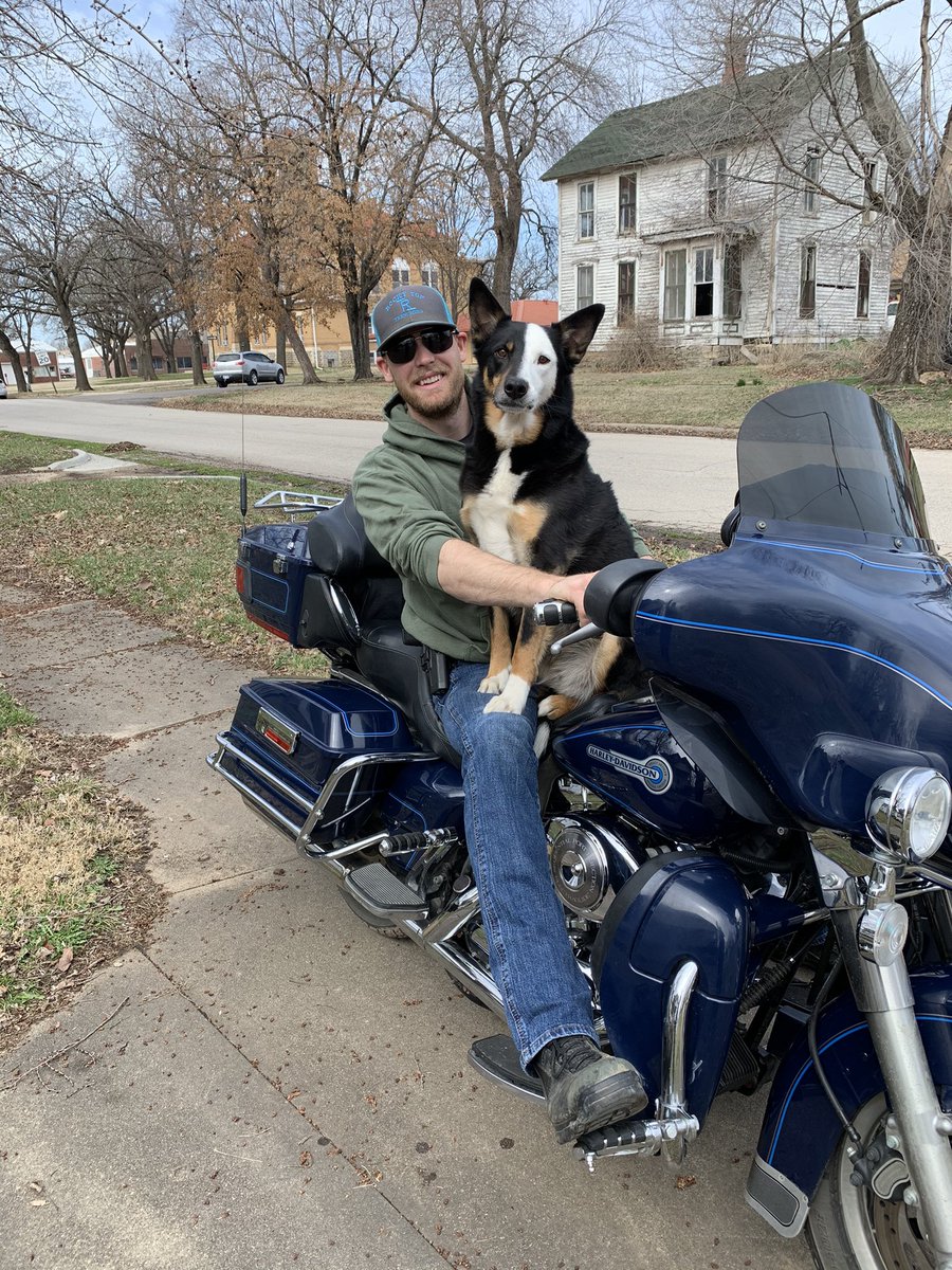 wranglersteveh's tweet photo. Charley the Harley and Clint https://t.co/3ePRtvlOGT