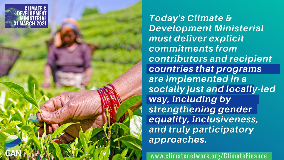 Climate Action Network International (CAN) tweet media