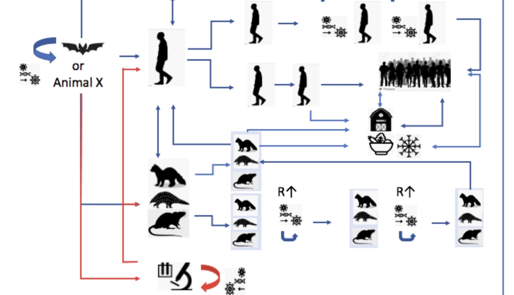David Sinclair Phd Just Read The Who Covid Report Laboratory Origin Of The Pandemic Is Considered To Be Extremely Unlikely P 119 Darn It Who Conspiracy Theories Are So Much