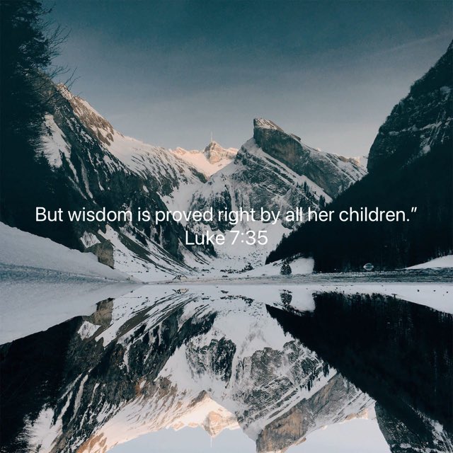 True Wellness tweet media