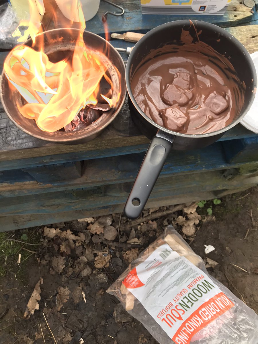 caroline tweet media