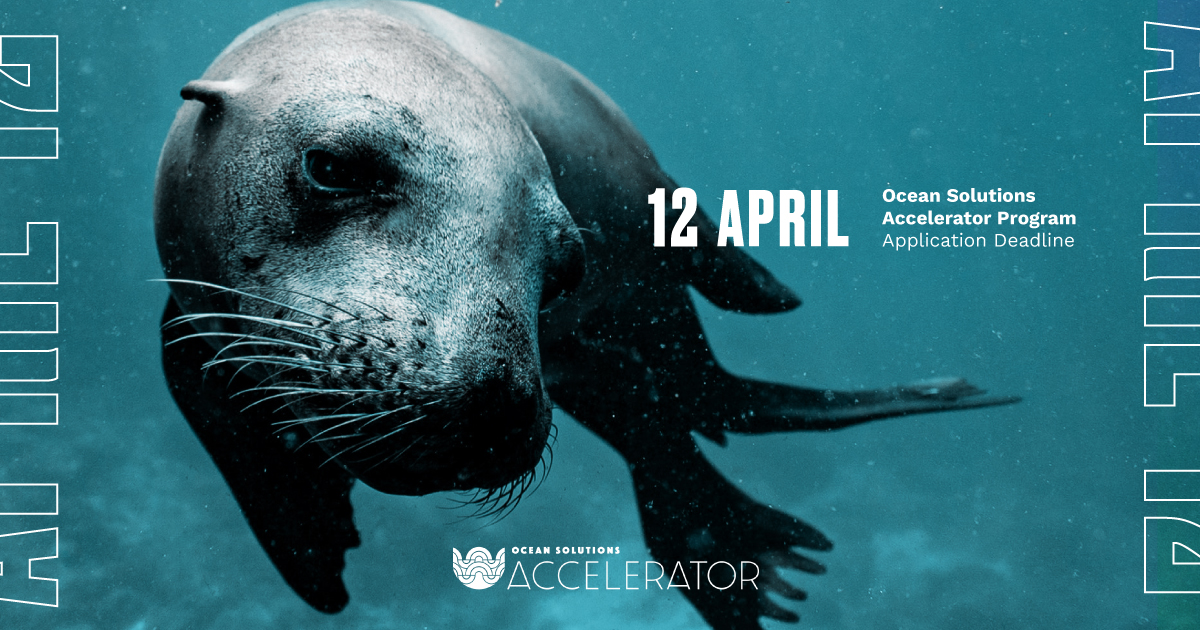 SOAlliance's tweet image. Don’t forget to submit your application by April 12th for our 2021 Accelerator Program! 

At SOA we develop leaders, cultivate ideas, &amp;amp; accelerate solutions. Want to be the next game-changing startup to join the alliance? 

APPLY NOW. --&amp;gt; bit.ly/3m6gPsP

#sdg14 #startups